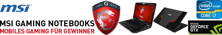 MSI Head MSI Head