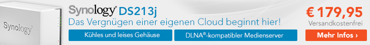 Synology DS213j