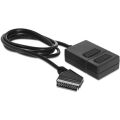 DeLock Scart Verteiler 2-fach