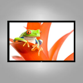 Elite Screens 16:9 Rahmen Leinwand 265 x 149 CineWhite