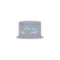 Verbatim CD-R 80Min/700MB/52x Cakebox (50 Disc)