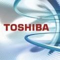 2 Jahre Toshiba Garantie (inkl. Abhol- und R&uuml;cksendeservice in D